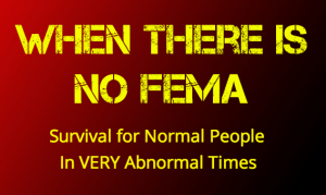 When There is No FEMA – Survival for Normal People