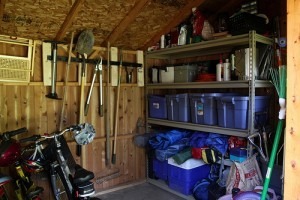Organized-de-cluttered-shed