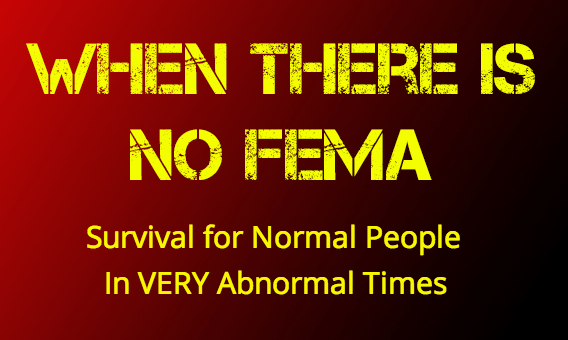 Review:  Where There Is No FEMA, Survival for Normal People in (Very) Abnormal Times, by Richard Bryant