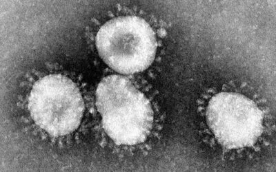 The Emergence of a New Lethal Coronavirus Strain in China: A Global Health Concern
