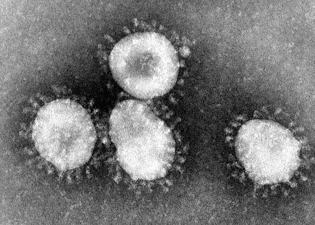 The Emergence of a New Lethal Coronavirus Strain in China: A Global Health Concern